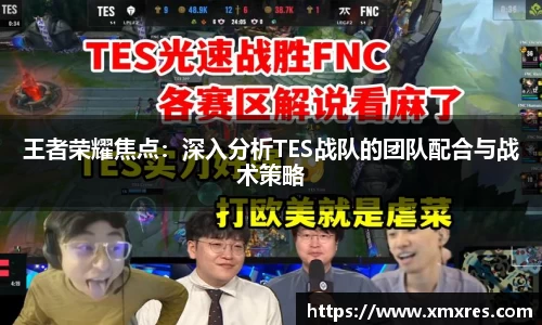 王者荣耀焦点：深入分析TES战队的团队配合与战术策略